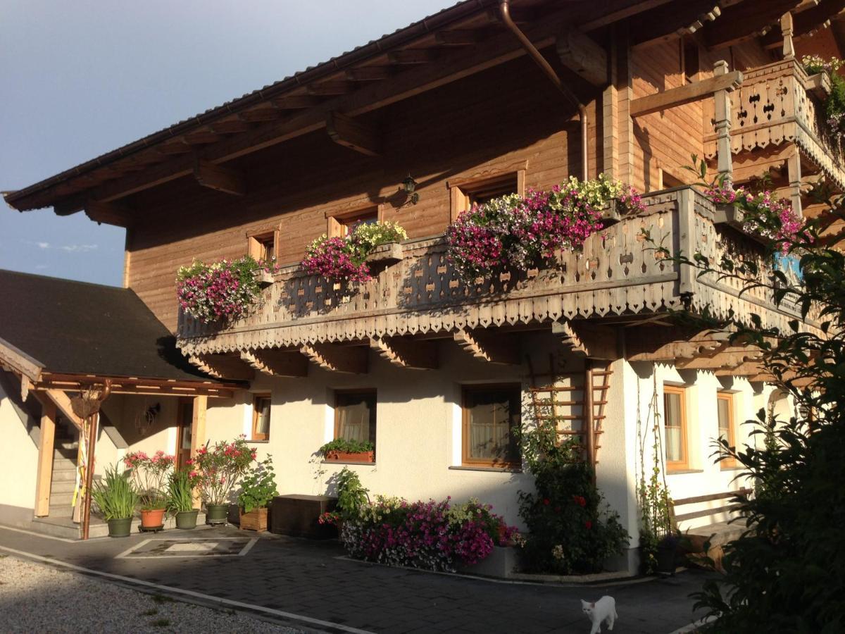 Ferienwohnungen Am Biobauernhof Lahner Bramberg am Wildkogel Dış mekan fotoğraf